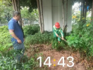 深圳龙华城管回应“暴雨天浇花”