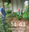 深圳龙华城管回应“暴雨天浇花”